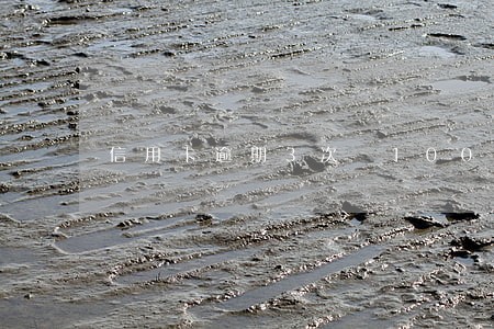 信用卡逾期3次 100块钱 信用卡逾期3次 100块钱